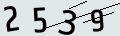 verifycode